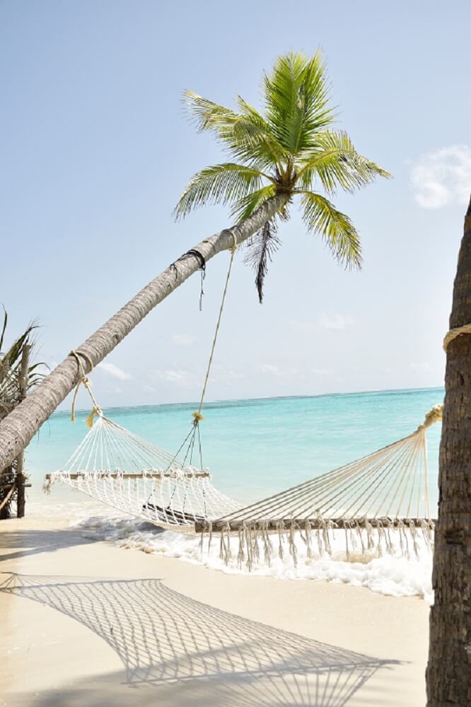 beach hammock
